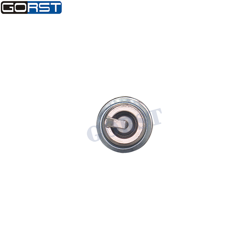 10 Pezzi Candela a Doppio Irid - Bosch Spark Plug Iridium recensione e prezzo